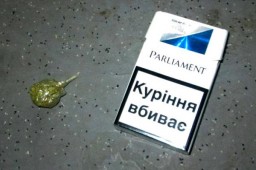 У пассажира автобуса «Воронеж-Кишинёв» обнаружили марихуану