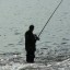 Запрет на лов рыбы в ПМР, находится на стадии согласования